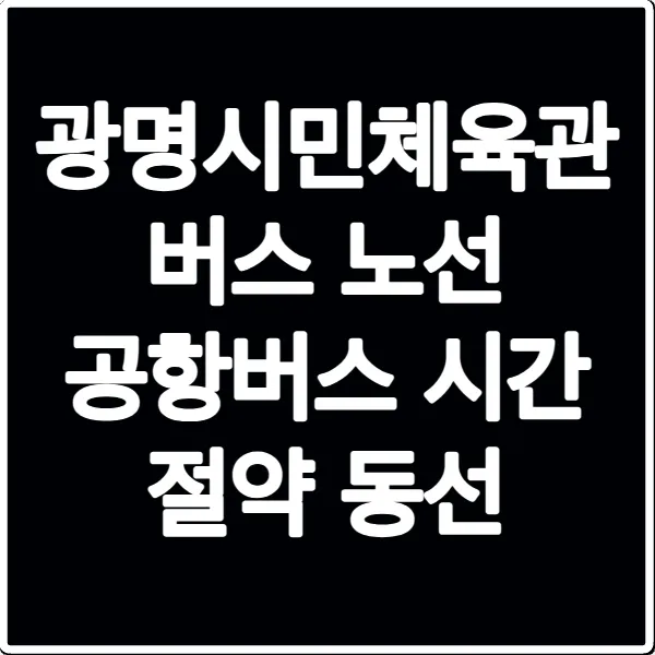 광명시민체육관 버스 노선 공항버스 시간 절약 동선