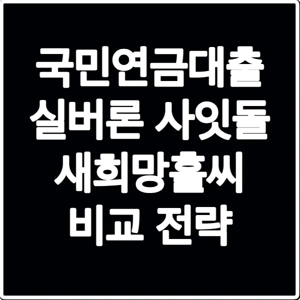 국민연금대출 실버론 사잇돌 새희망홀씨 비교 전략
