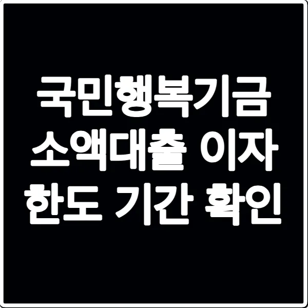 국민행복기금 소액대출 이자 한도 기간 확인