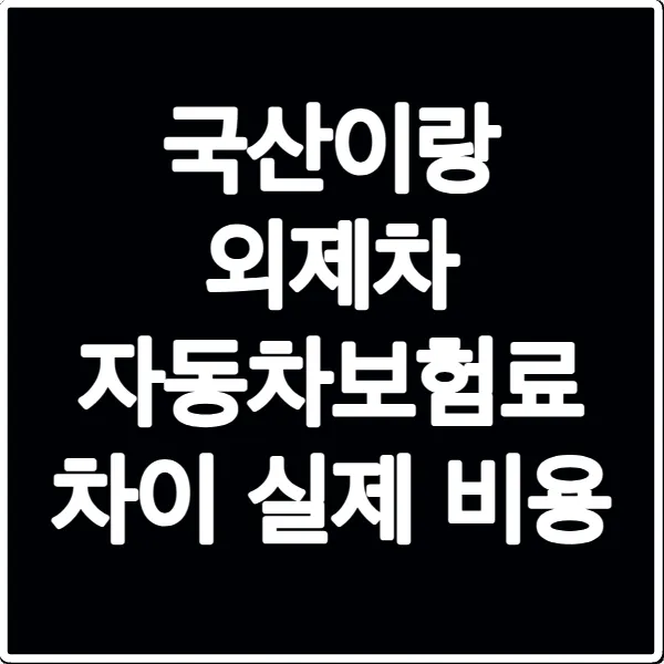 국산이랑 외제차 자동차보험료 차이 실제 비용