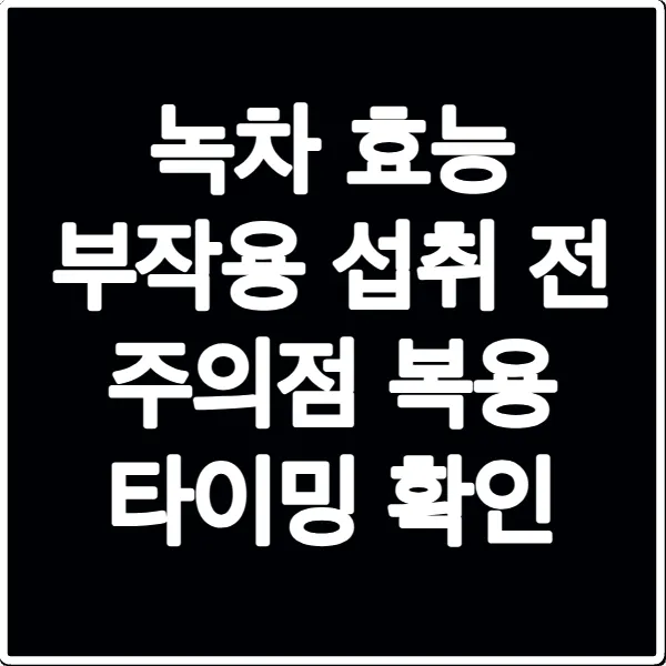 녹차 효능 부작용 섭취 전 주의점 복용 타이밍 확인