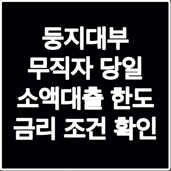 둥지대부 무직자 당일 소액대출 한도 금리 조건 확인