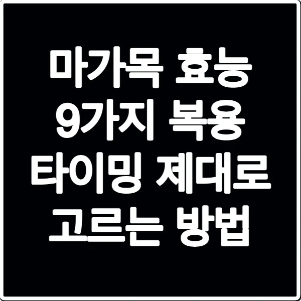 마가목 효능 9가지 복용 타이밍 제대로 고르는 방법
