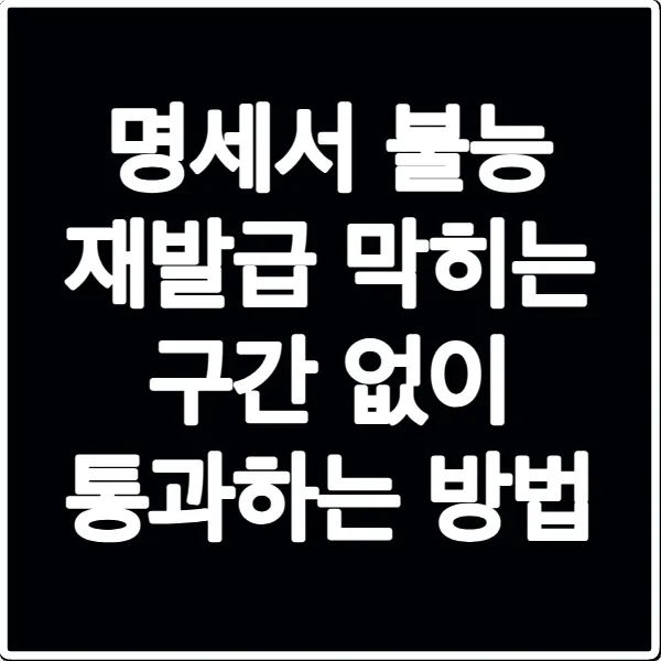 명세서 불능 재발급 막히는 구간 없이 통과하는 방법