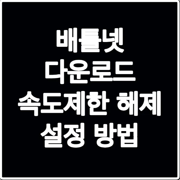 배틀넷 다운로드 속도제한 해제 설정 방법