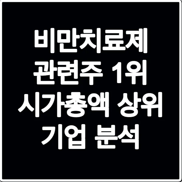 비만치료제 관련주 1위 시가총액 상위 기업 분석
