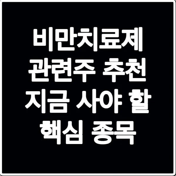 비만치료제 관련주 추천 지금 사야 할 핵심 종목