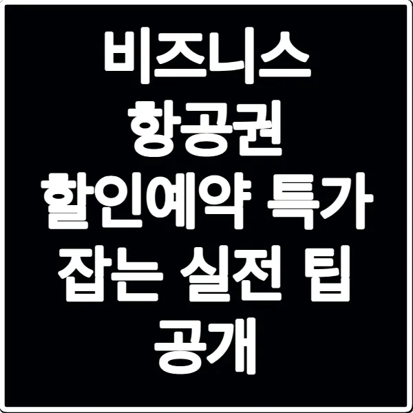 비즈니스 항공권 할인예약 특가 잡는 실전 팁 공개