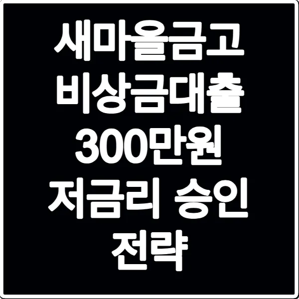 새마을금고 비상금대출 300만원 저금리 승인 전략