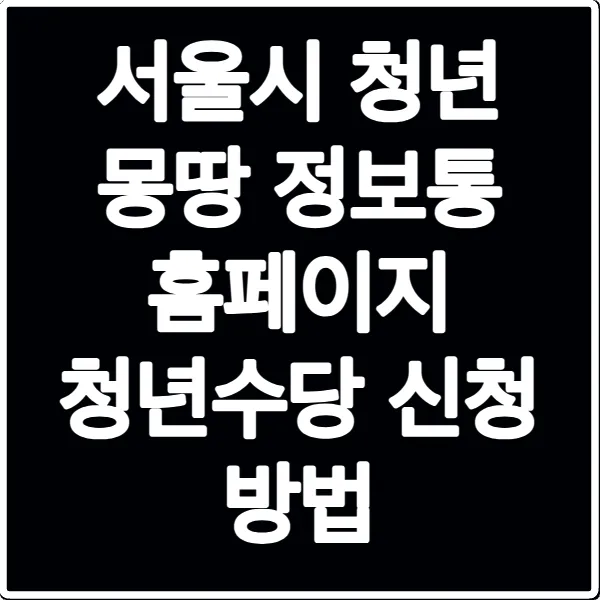 서울시 청년 몽땅 정보통 홈페이지 청년수당 신청 방법