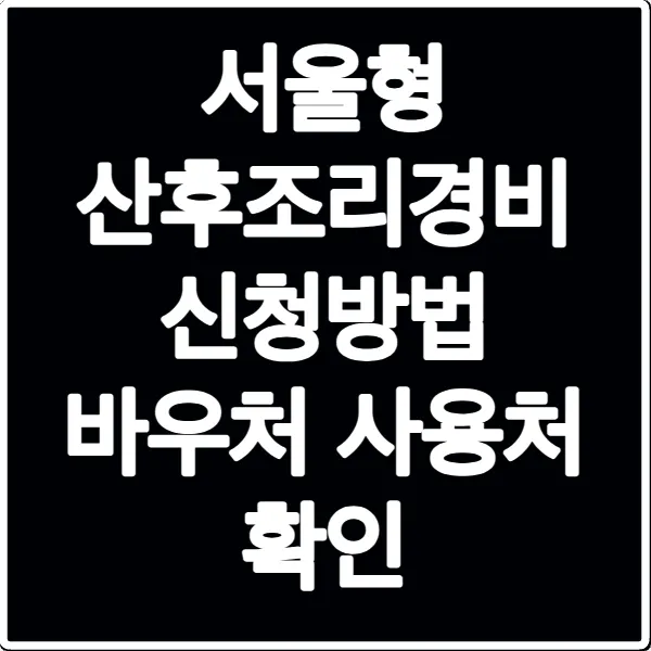 서울형 산후조리경비 신청방법 바우처 사용처 확인