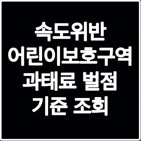 속도위반 어린이보호구역 과태료 벌점 기준 조회