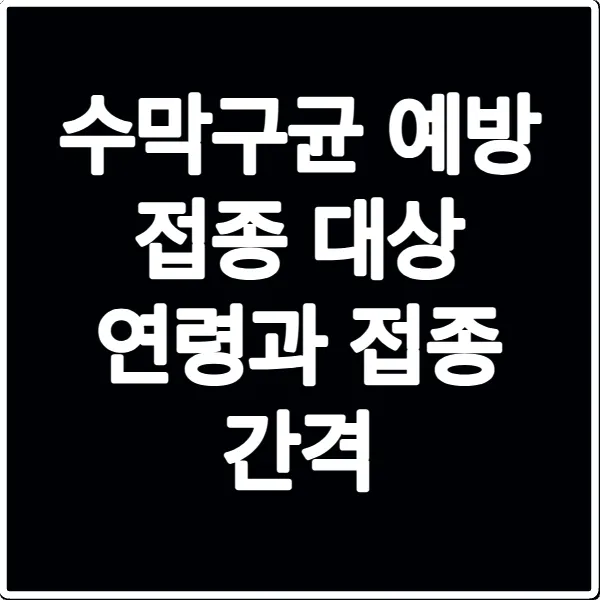수막구균 예방 접종 대상 연령과 접종 간격