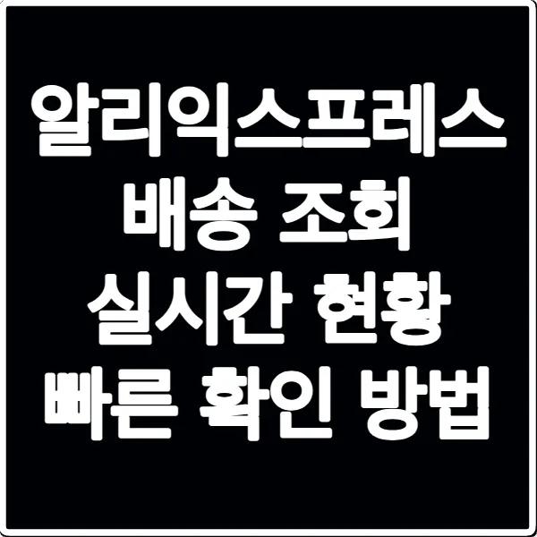 알리익스프레스 배송 조회 실시간 현황 빠른 확인 방법