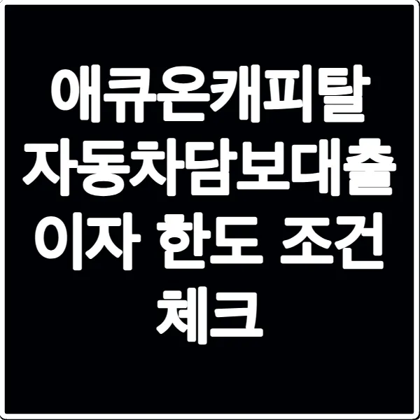 애큐온캐피탈 자동차담보대출 이자 한도 조건 체크