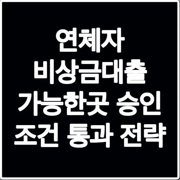 연체자 비상금대출 가능한곳 승인 조건 통과 전략