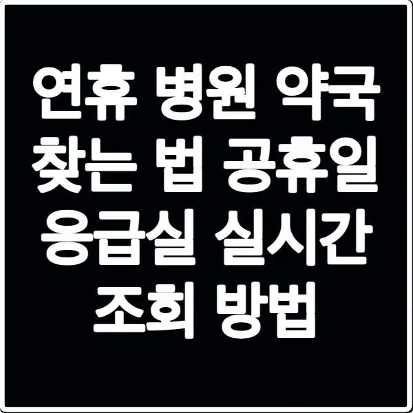 연휴 병원 약국 찾는 법 공휴일 응급실 실시간 조회 방법