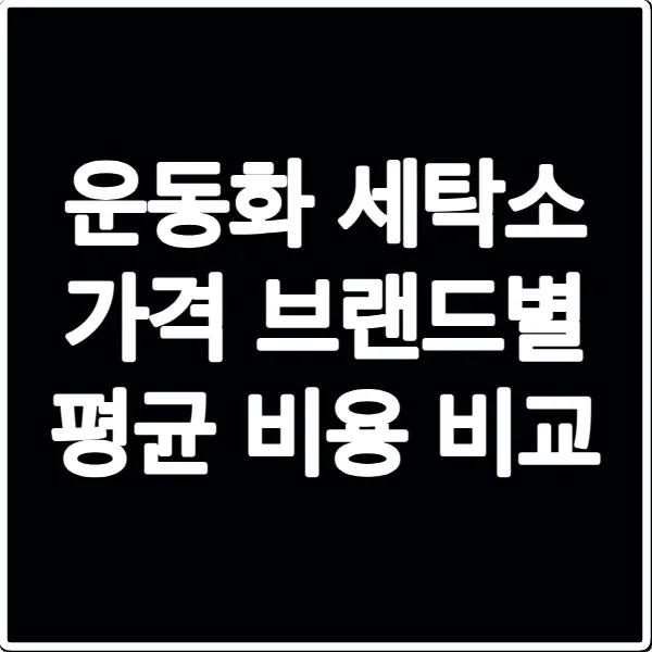 운동화 세탁소 가격 브랜드별 평균 비용 비교