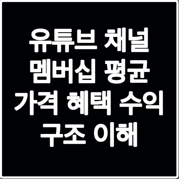 유튜브 채널 멤버십 평균 가격 혜택 수익 구조 이해