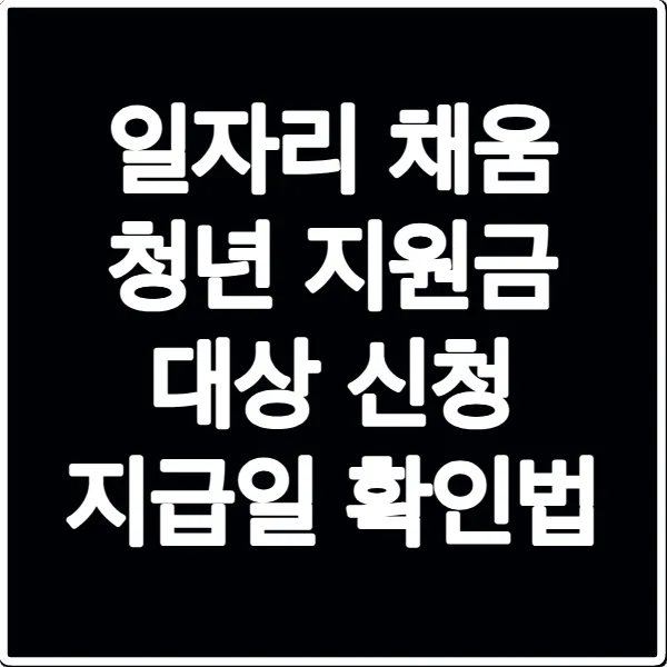 일자리 채움 청년 지원금 대상 신청 지급일 확인법