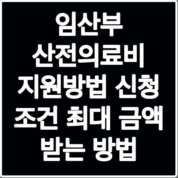 임산부 산전의료비 지원방법 신청 조건 최대 금액 받는 방법
