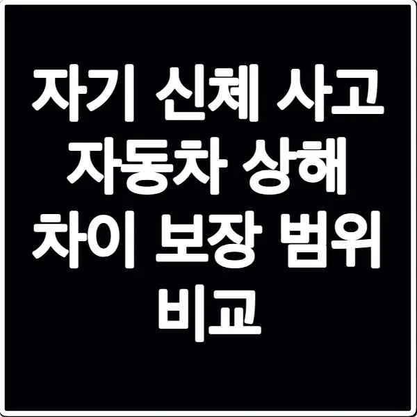 자기 신체 사고 자동차 상해 차이 보장 범위 비교