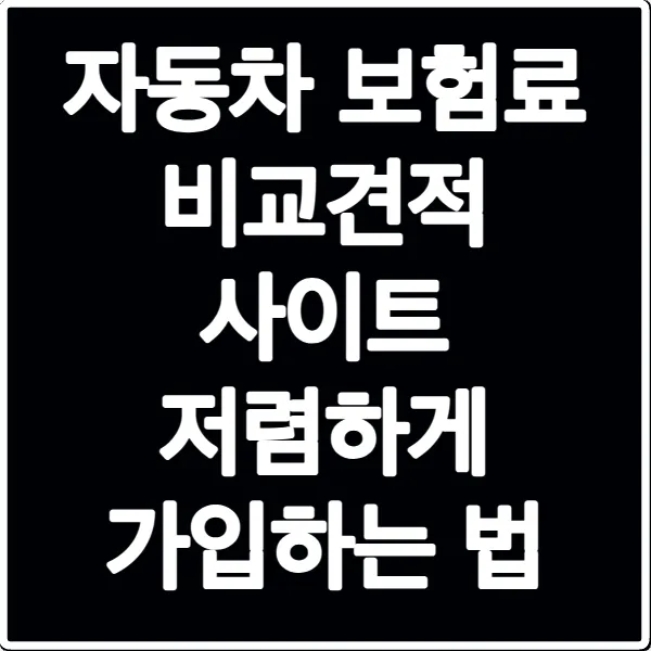 자동차 보험료 비교견적 사이트 저렴하게 가입하는 법