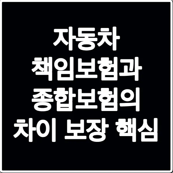 자동차 책임보험과 종합보험의 차이 보장 핵심