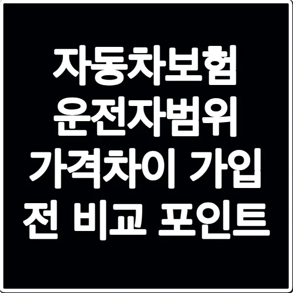 자동차보험 운전자범위 가격차이 가입 전 비교 포인트