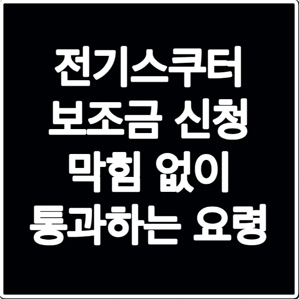 전기스쿠터 보조금 신청 막힘 없이 통과하는 요령