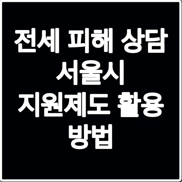 전세 피해 상담 서울시 지원제도 활용 방법