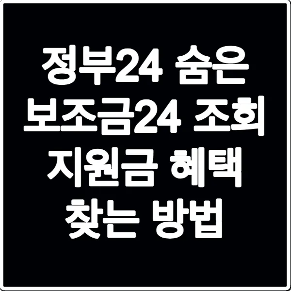 정부24 숨은 보조금24 조회 지원금 혜택 찾는 방법