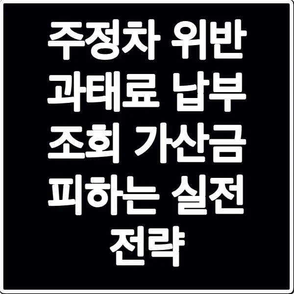 주정차 위반 과태료 납부 조회 가산금 피하는 실전 전략