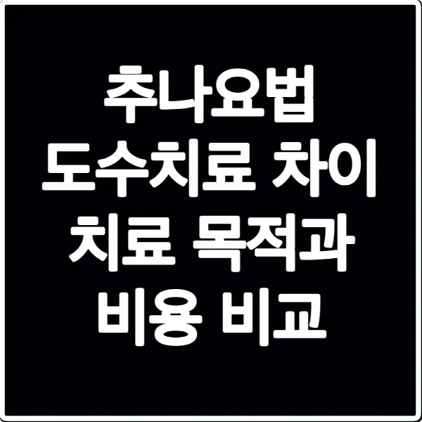 추나요법 도수치료 차이 치료 목적과 비용 비교