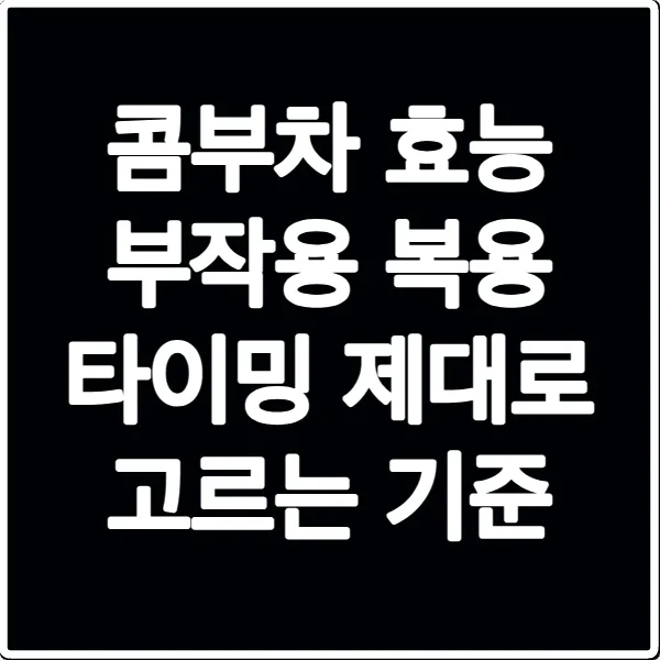 콤부차 효능 부작용 복용 타이밍 제대로 고르는 기준