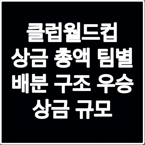 클럽월드컵 상금 총액 팀별 배분 구조 우승 상금 규모