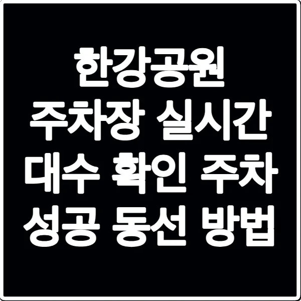 한강공원 주차장 실시간 대수 확인 주차 성공 동선 방법