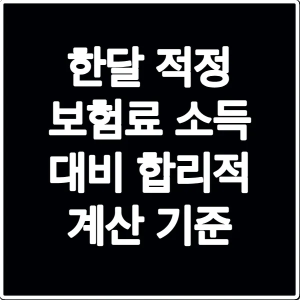 한달 적정 보험료 소득 대비 합리적 계산 기준